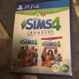 PlayStation 4 sims game